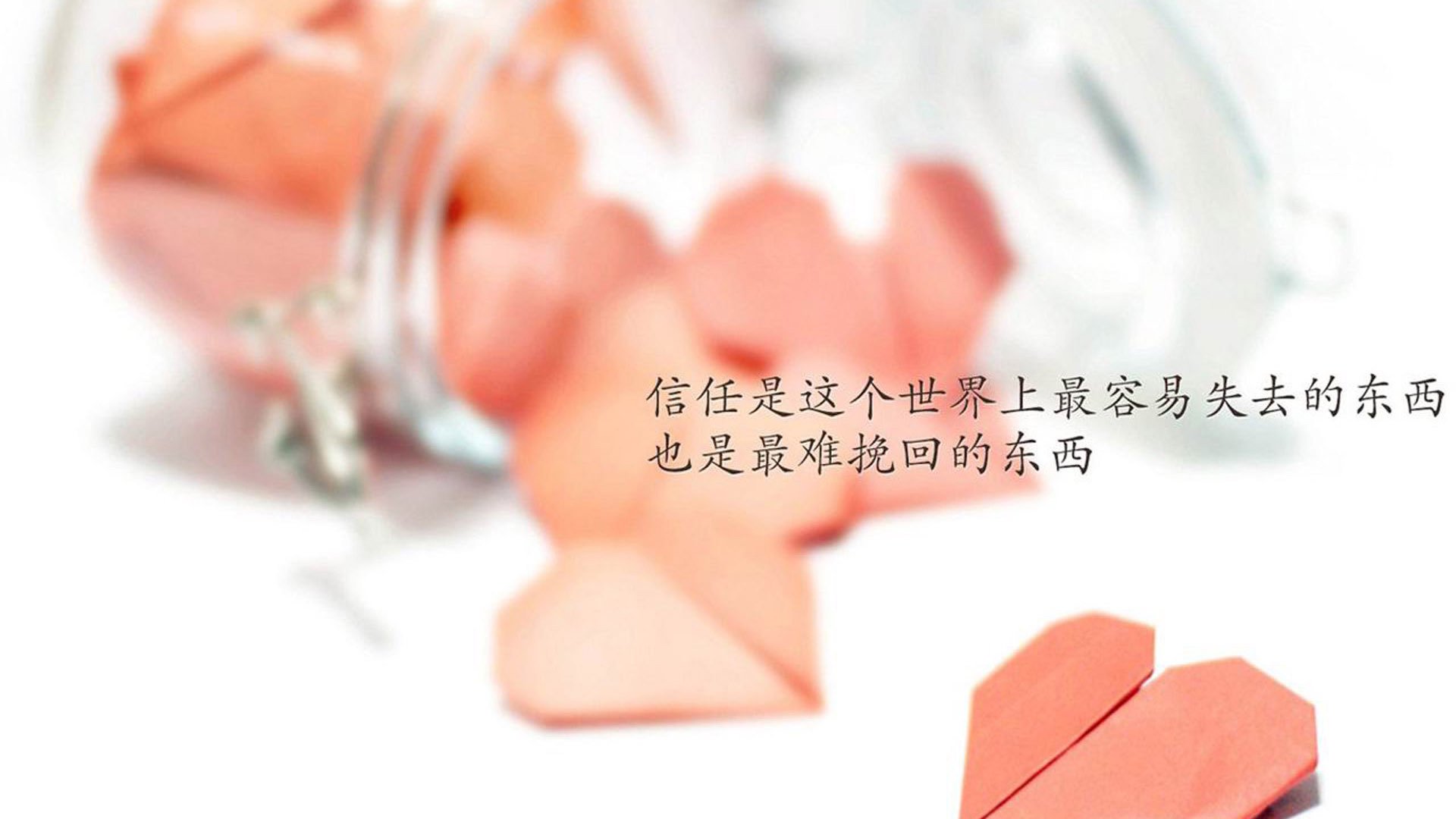 “电动冲浪:水上运动新宠,东三叉湖赛场精彩纷呈”